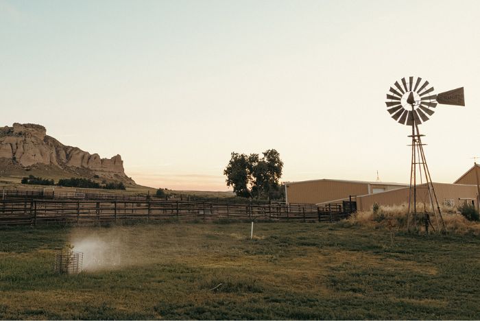 Farm at sunset - Zoetis