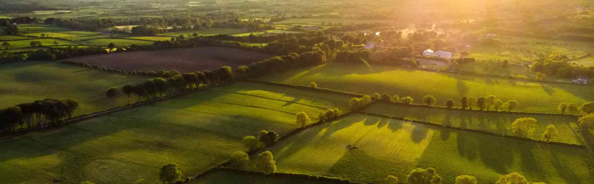 Farmlands at dusk - Zoetis