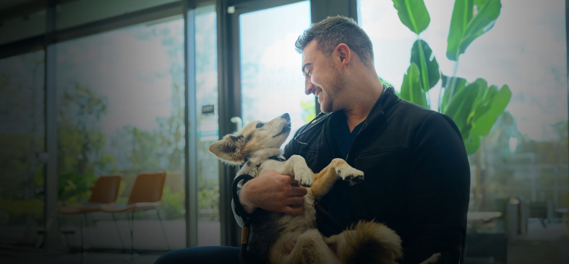 Veterinarian holding dog - Zoetis