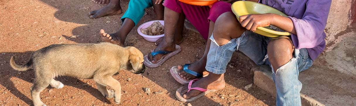 Children eating with puppy nearby - Zoetis