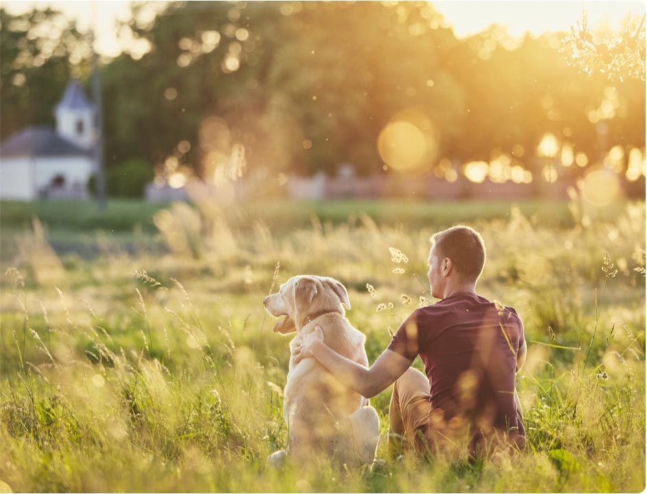 Man with dog in field