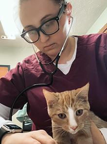 Vet tech Crystal Stinson with cat - Zoetis