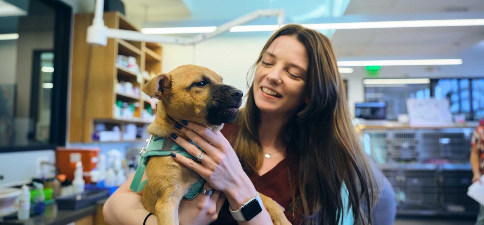 Veterinarian with a dog | Zoetis